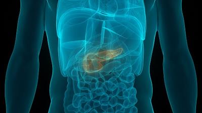 Photo of Pancreatic and Biliary Cancer Program