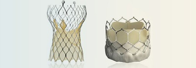 TAVR Transcatheter Aortic Valve Replacement