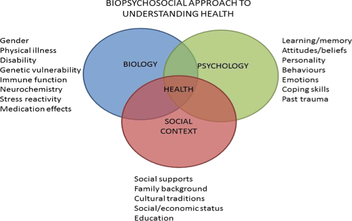 Biopsychosocialchart