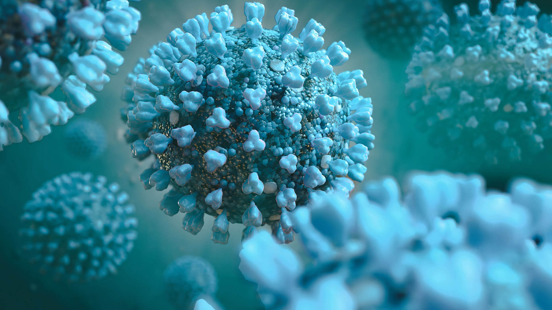 ImageoftheCOVID-10Virus