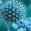 ImageoftheCOVID-10Virus