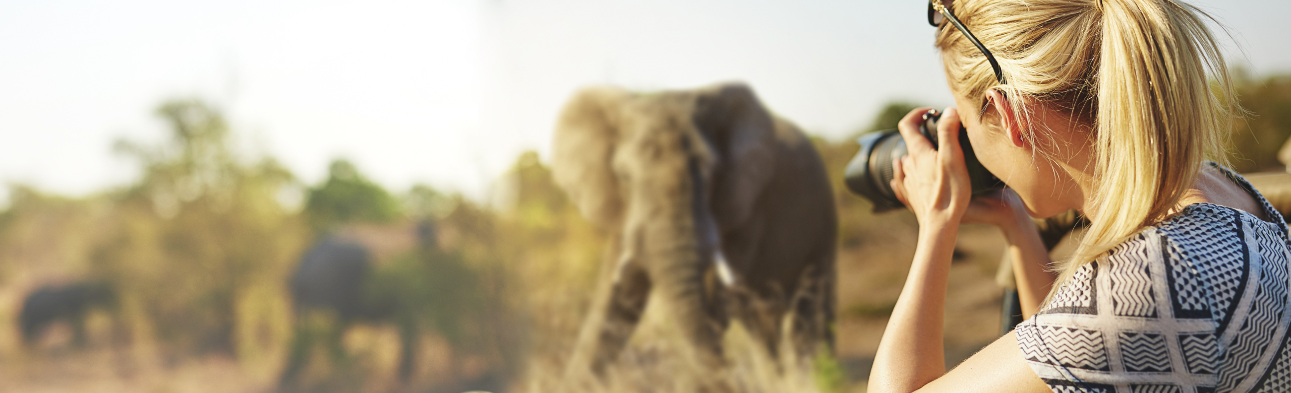 Woman taking a picture of an elephant on safari