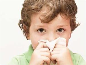 Stuffy Little Noses Stuffy Little Noses