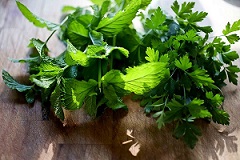 ParlseyMint ParlseyMint