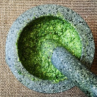 pesto pesto