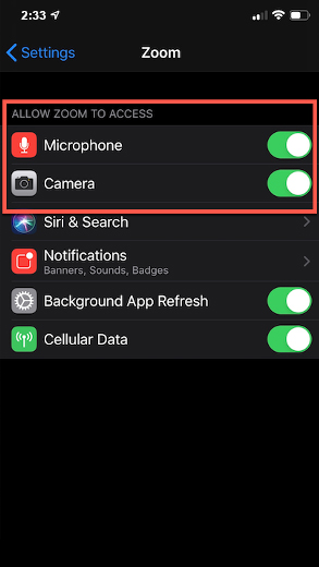 Allow Zoom to access both the Microphone and Camera