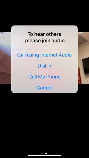 When asked to join audio, select Call using Internet Audio