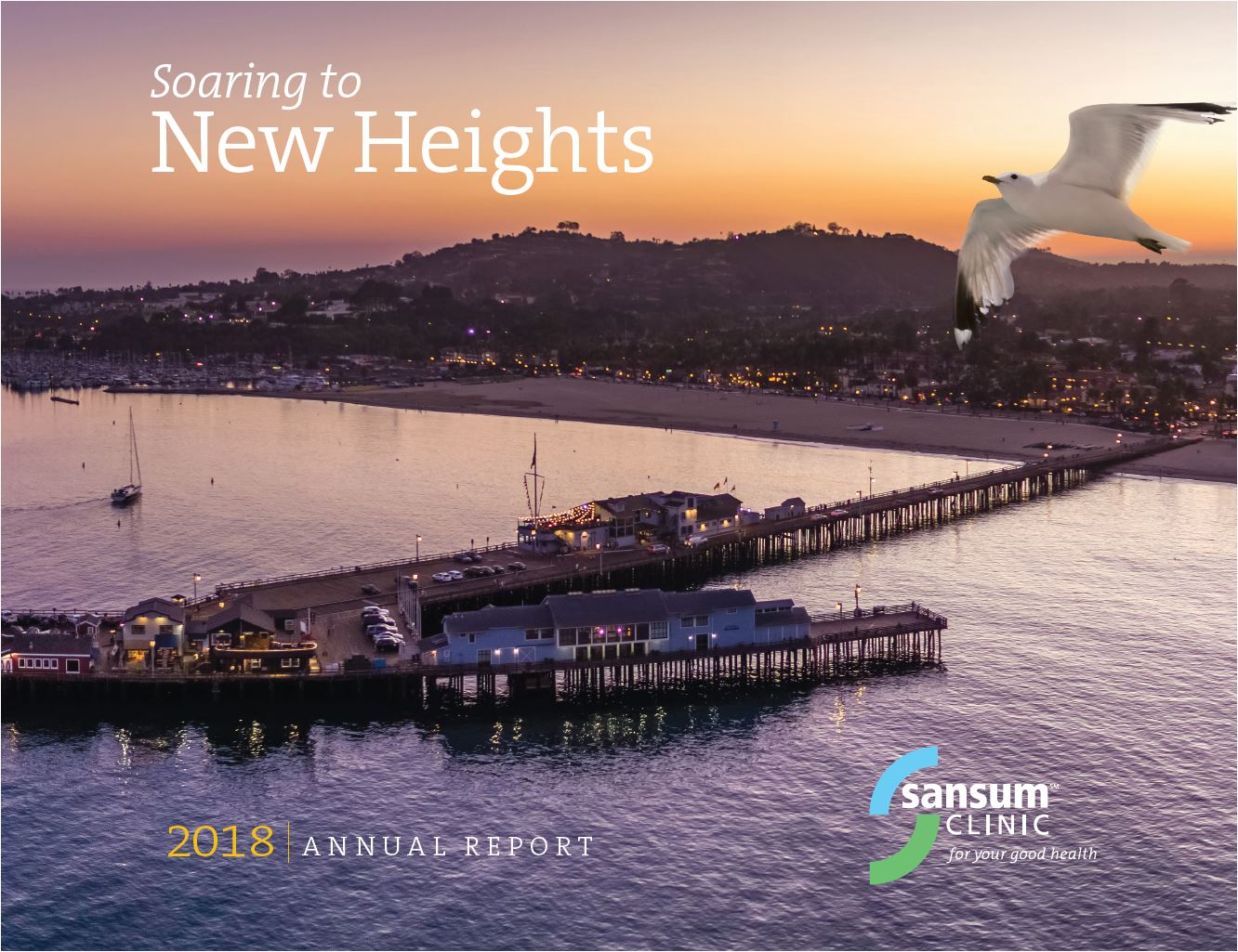 AnnualReportforSansumClinic2018Cover